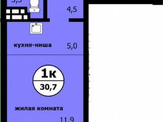 Студия, 30.7 м², 9/9 этаж