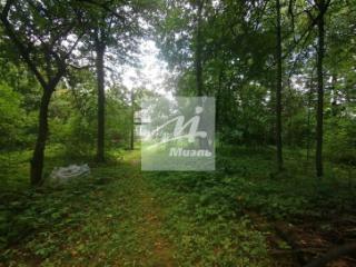 Купить Участок Дубки Одинцовский