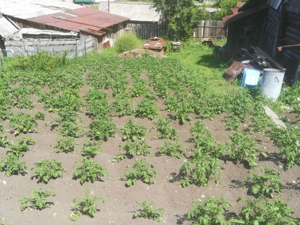 Купить дом в селе Нижнеиргинском в Красноуфимском районе в Свердловской  области — 16 объявлений о продаже загородных домов на МирКвартир с ценами и  фото