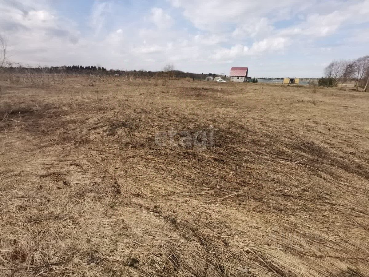 Купить загородную недвижимость в деревне Большое Кикерино в Волосовском  районе в Ленинградской области — 87 объявлений о продаже загородной  недвижимости на МирКвартир с ценами и фото