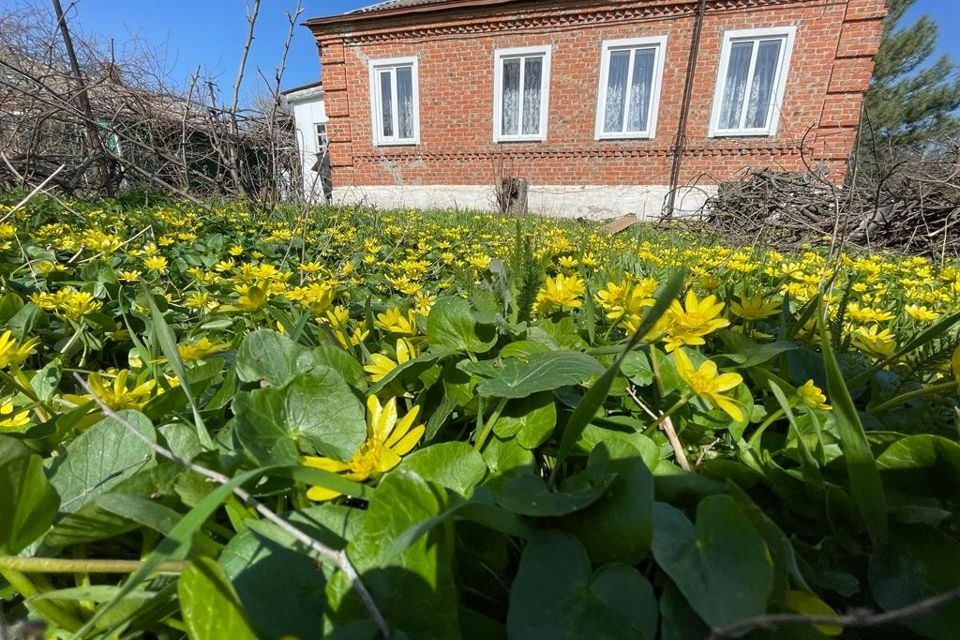 Строительство загородного дома савельев