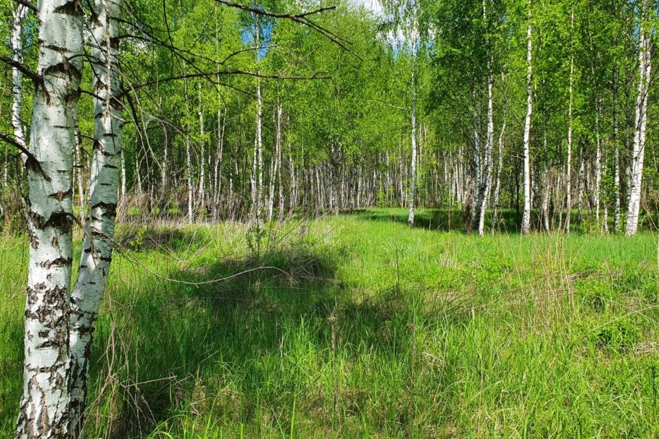 Купить Участок В Туле В Пролетарском