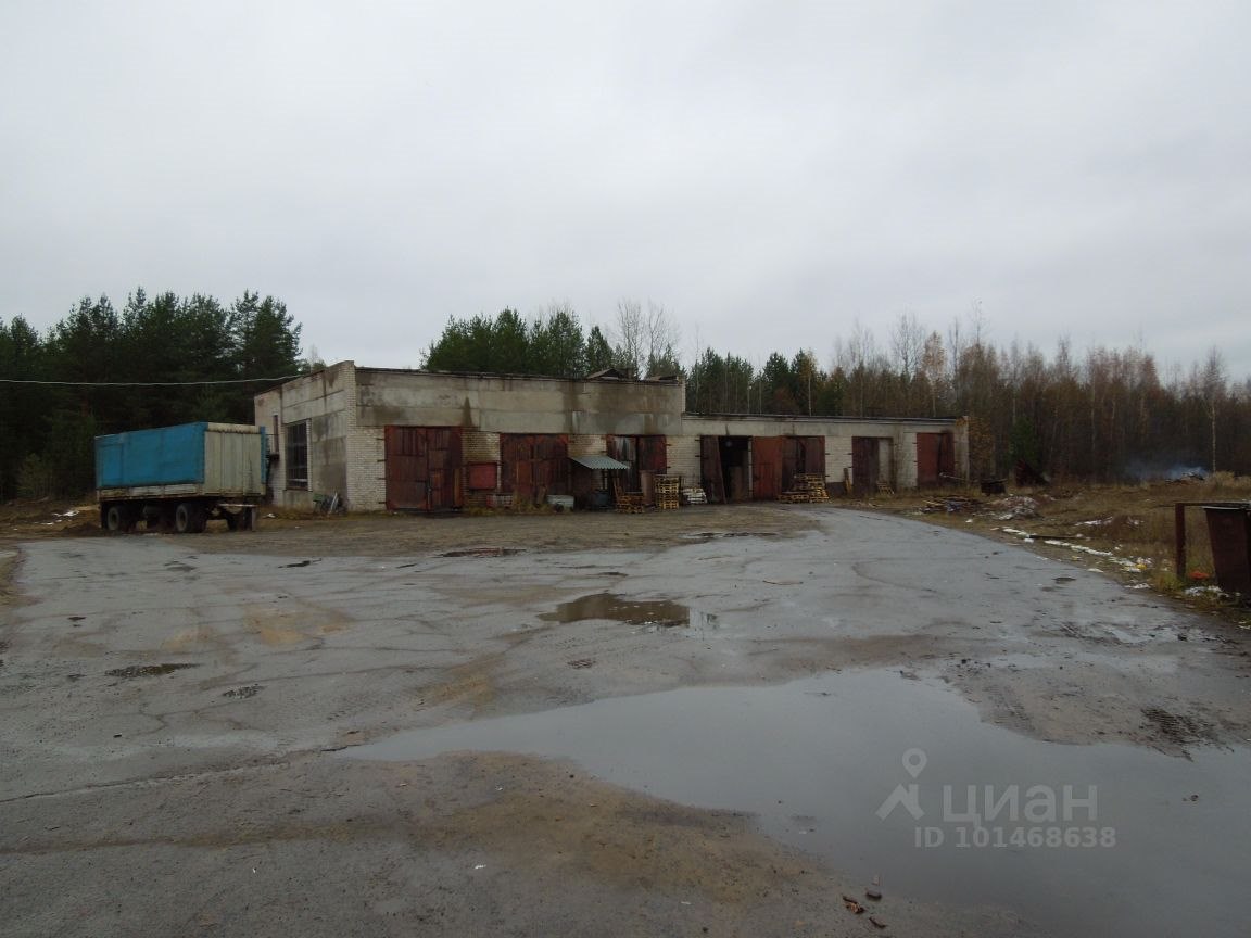 Купить коммерческую недвижимость в Кадуйском районе в Вологодской области —  16 объявлений о продаже коммерческой недвижимости на МирКвартир с ценами и  фото