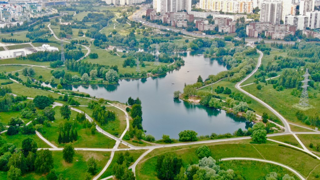 Ландшафтный парк Митино. Фото: detskaya-biblioteka238.timepad.ru