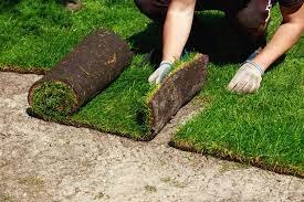 Если газон будет приобретаться в рулонах, при выравнивании грунта можно не добавлять перегной. Фото: www.ldgrand.ru