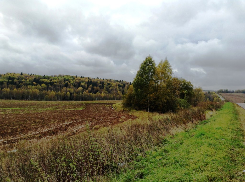 Землю не обязательно покупать — государство может выделить участок бесплатно. Фото: Мир Квартир